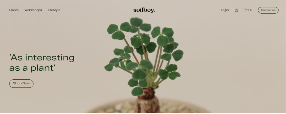 Soilboy